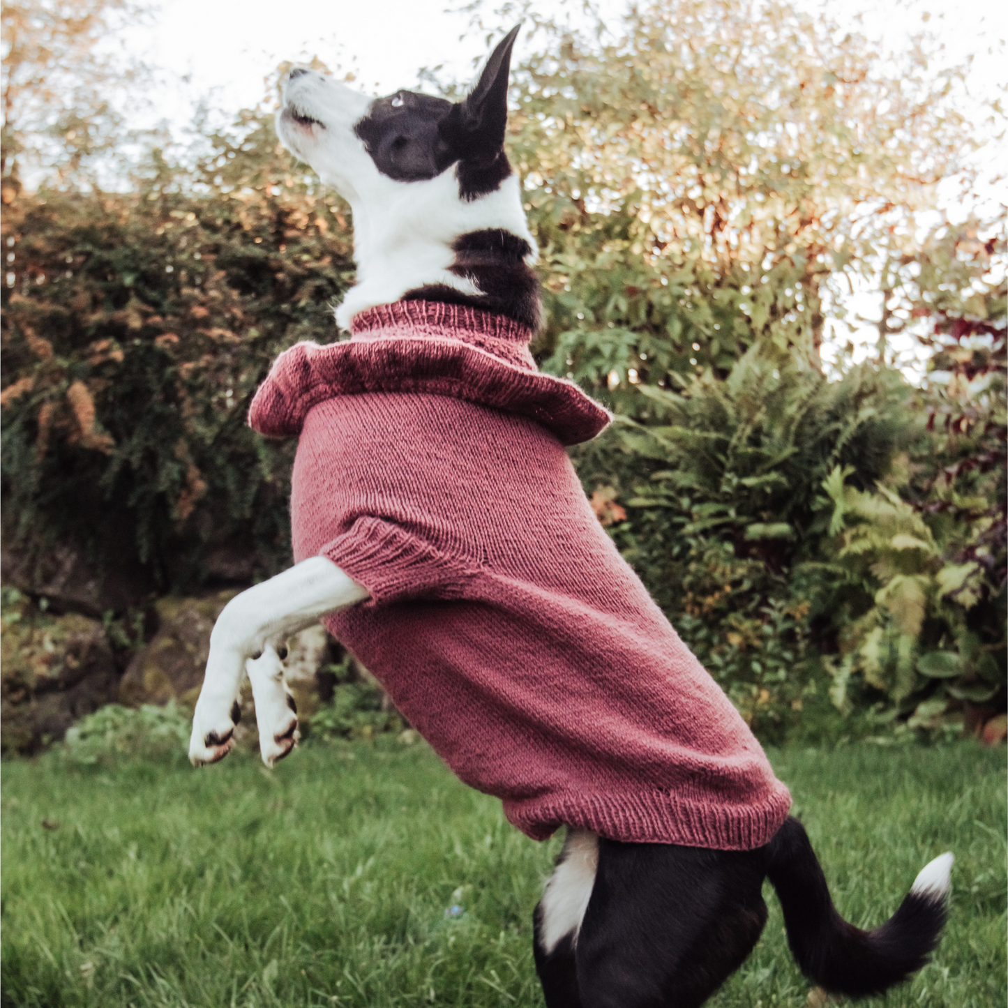 UNA - Hundepullover mit Volant